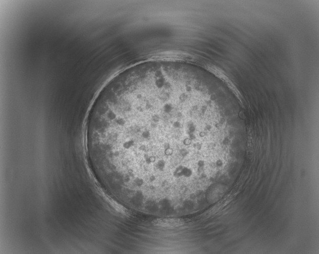 X0000071961083200608041613