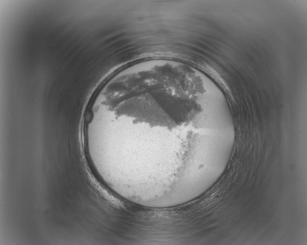 X0000071961084200608041613