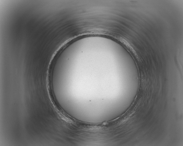 X0000071961085200608041613