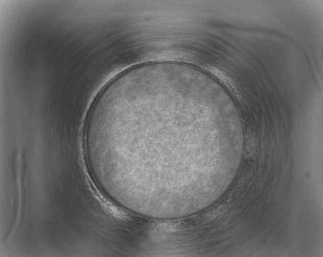 X0000071961086200608041613