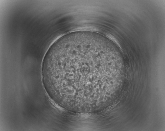 X0000071961087200608041613