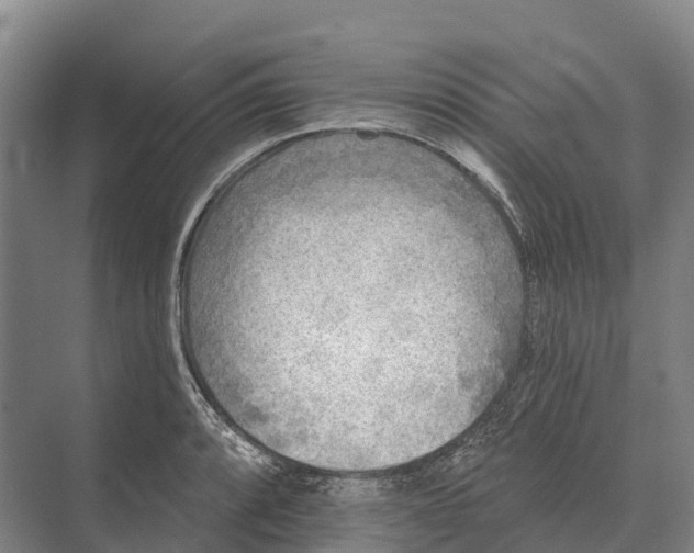 X0000071961088200608041613