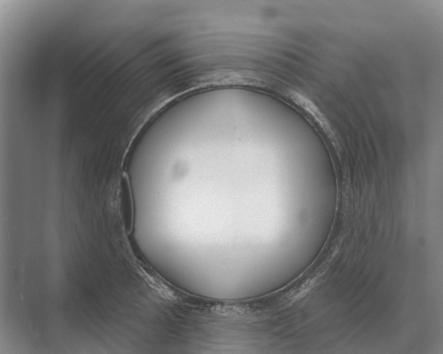 X0000071961089200608041613