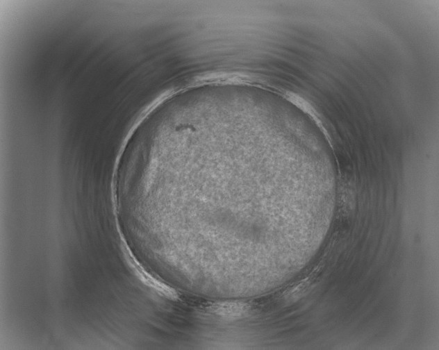 X0000071961090200608041613