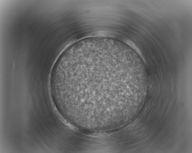 X0000071961091200608041613