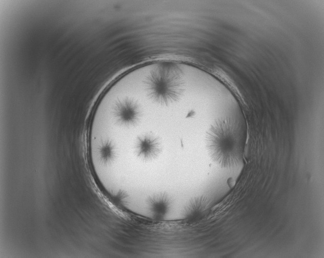 X0000071961092200608041613