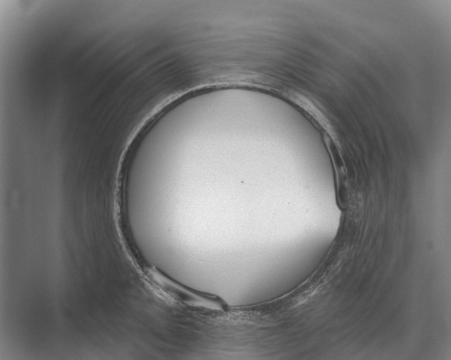 X0000071961093200608041613