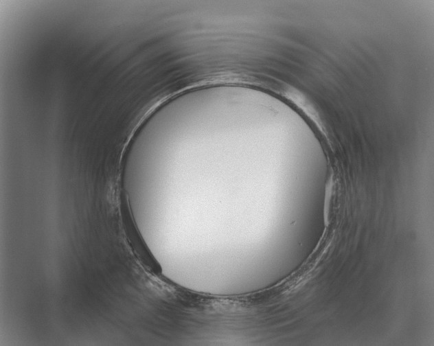 X0000071961097200608041613