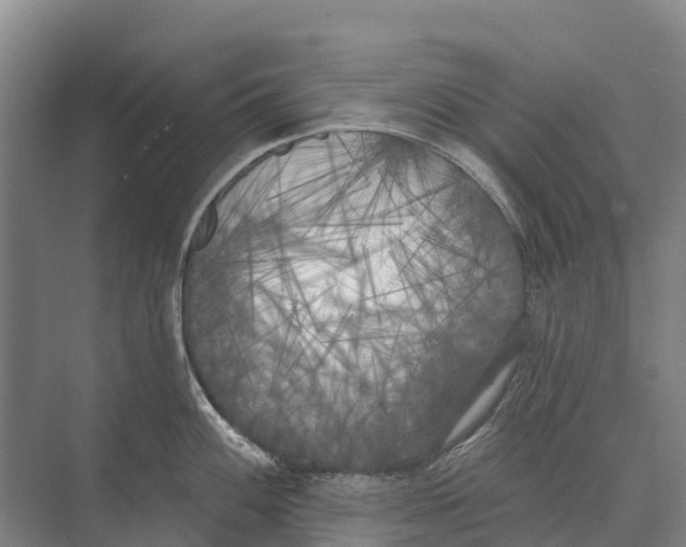 X0000071961100200608041613