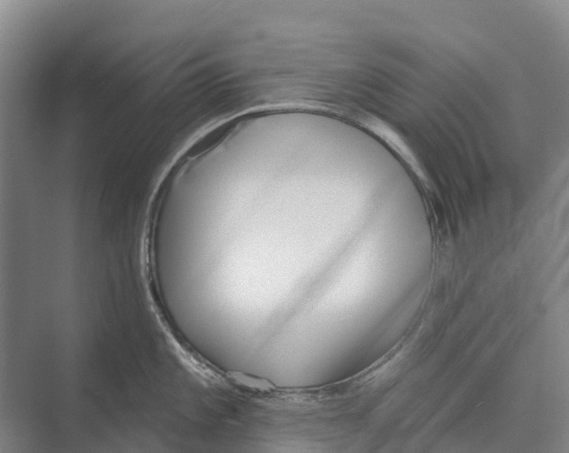 X0000071961101200608041613