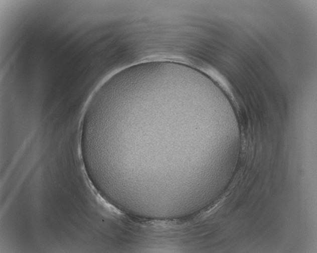 X0000071961102200608041613