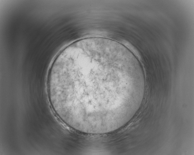 X0000071961104200608041612