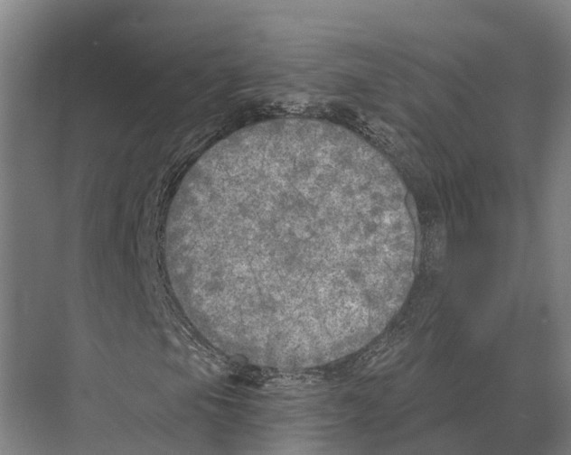 X0000071961105200608041612