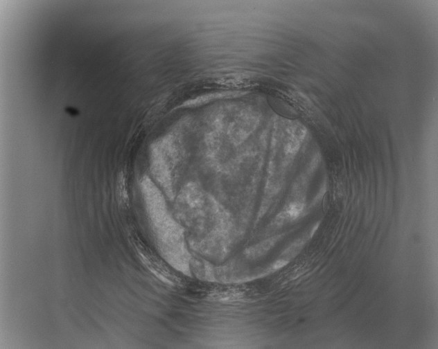 X0000071961106200608041612