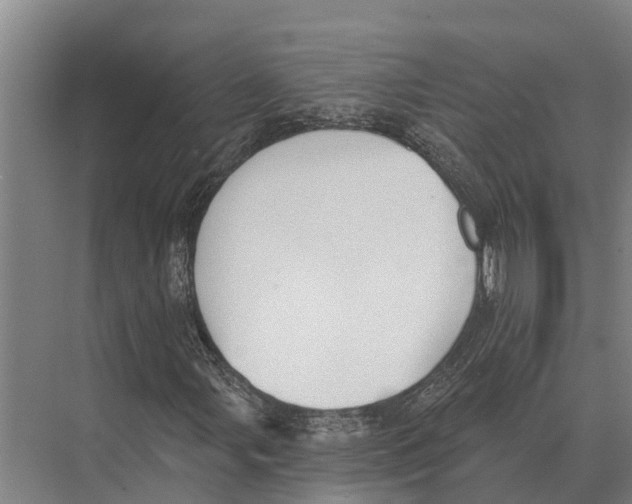 X0000071961107200608041612