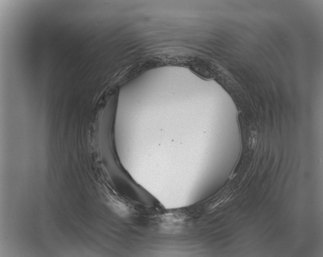 X0000071961108200608041612