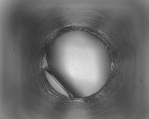 X0000071961110200608041612