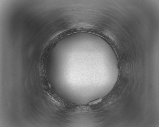 X0000071961112200608041612