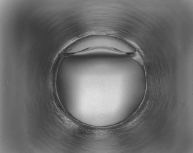 X0000071961114200608041612