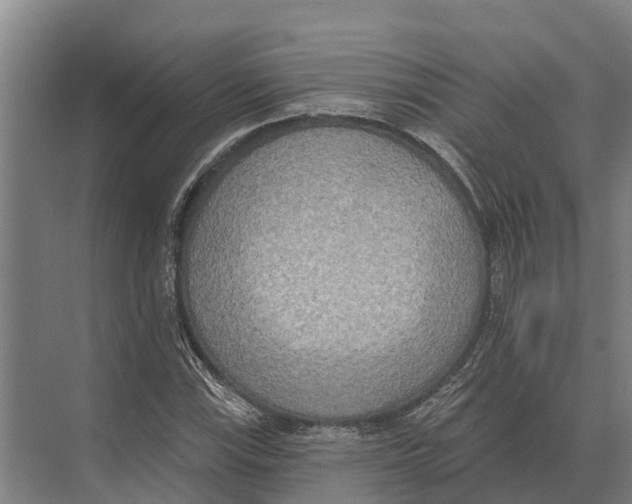 X0000071961115200608041612