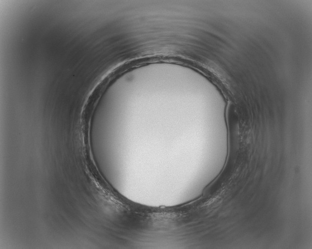 X0000071961118200608041612