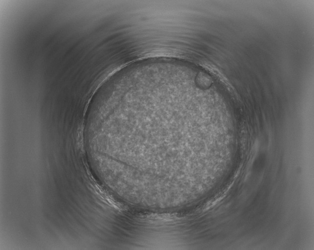 X0000071961121200608041612