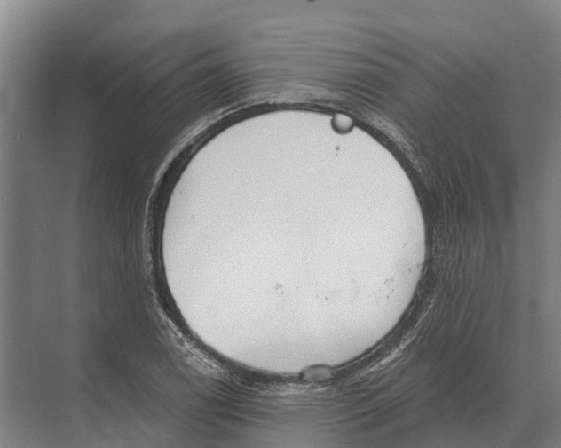 X0000071961122200608041612