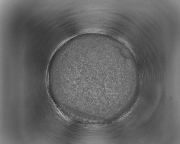 X0000071961125200608041612