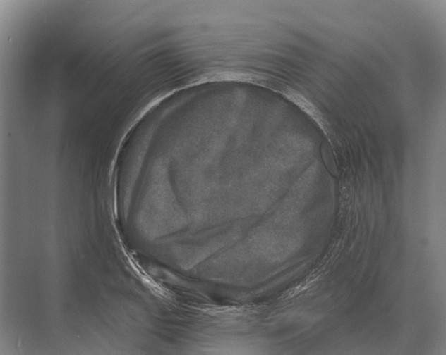 X0000071961127200608041612