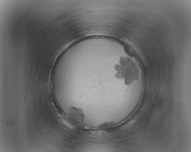 X0000071961129200608041612