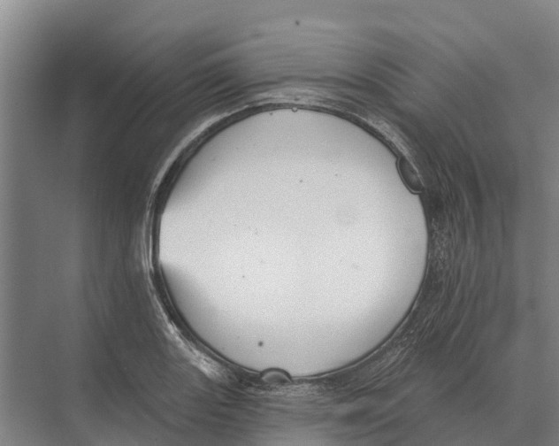 X0000071961131200608041612