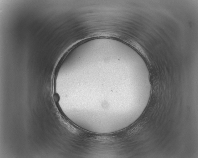 X0000071961132200608041612