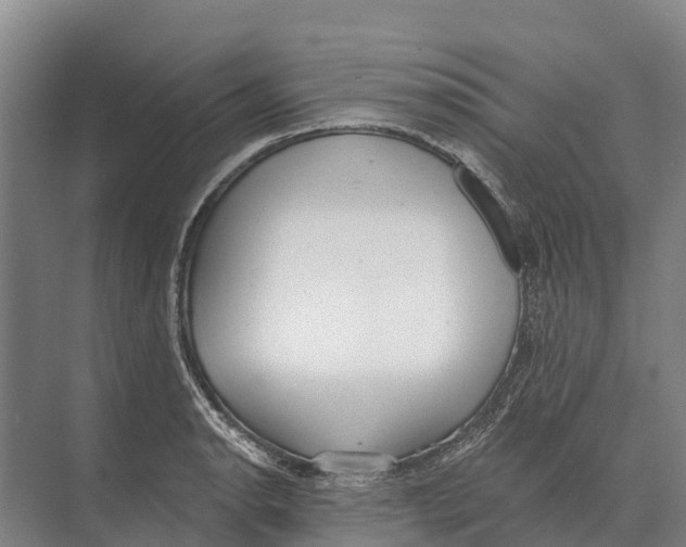 X0000071961134200608041612