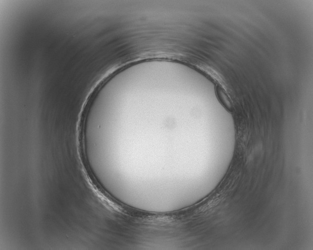 X0000071961135200608041612