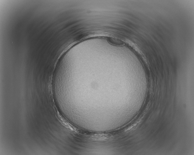 X0000071961137200608041612