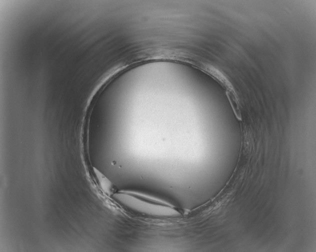 X0000071961138200608041612