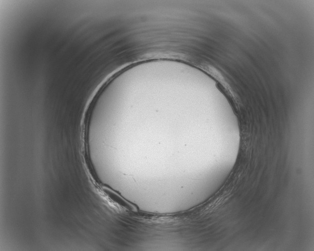 X0000071961140200608041612