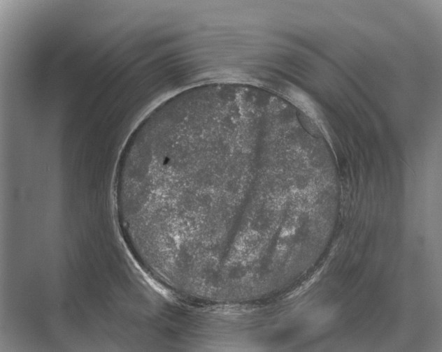 X0000071961141200608041612