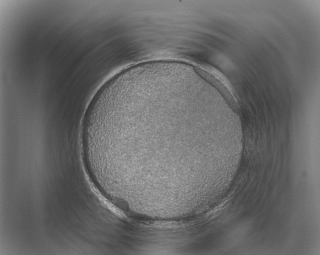 X0000071961142200608041612