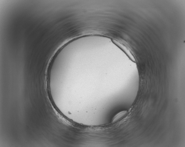 X0000071961143200608041612