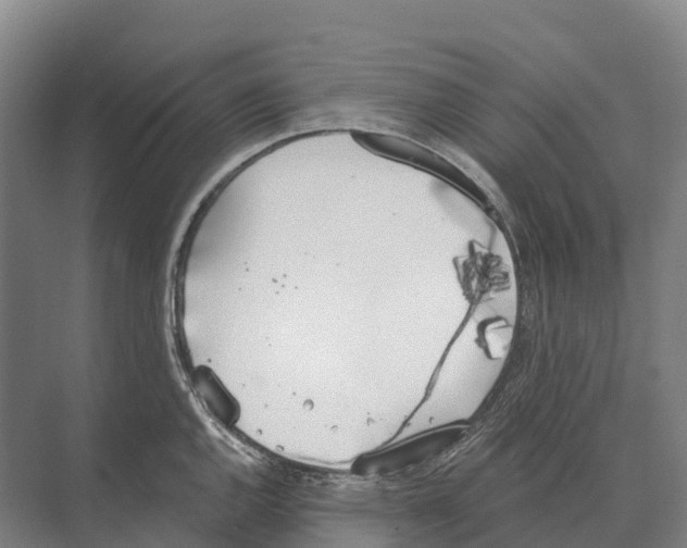 X0000071961144200608041612