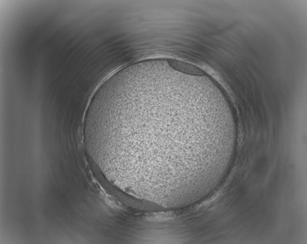 X0000071961145200608041612