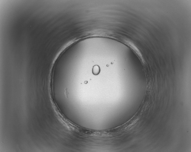 X0000071961146200608041612