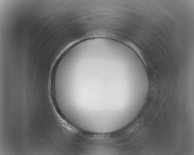 X0000071961147200608041612