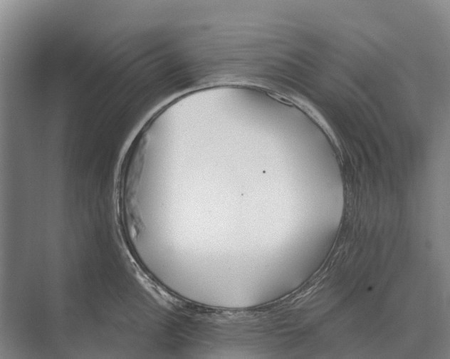 X0000071961148200608041612