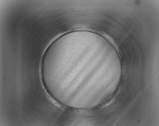 X0000071961149200608041612