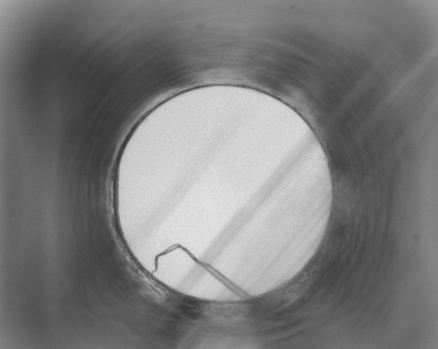 X0000071961150200608041612