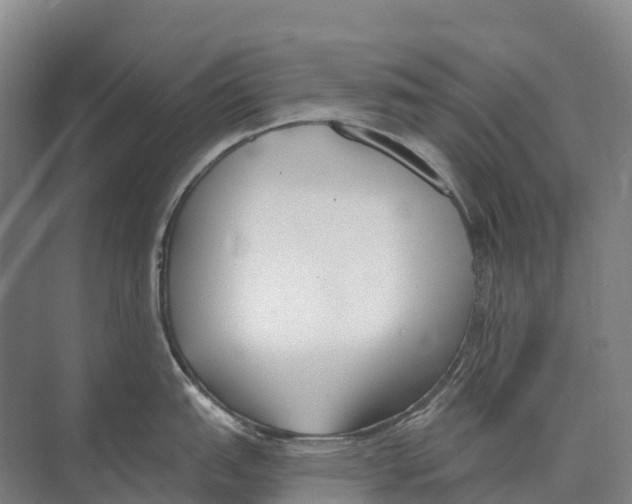 X0000071961151200608041612