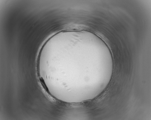 X0000071961152200608041612