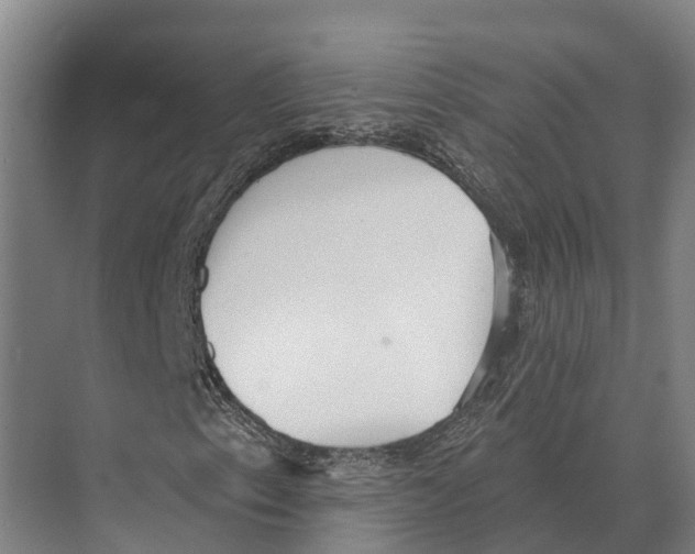 X0000071961153200608041612